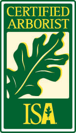 Tree Service
